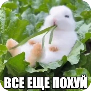 Telegram sticker 🥰 дрысня от @YarkoSvechu