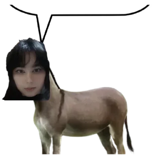 Sticker 🐴 Uzbeki Shit :: @fStikBot