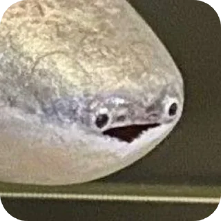 Telegram sticker 🍲 Сезаровский крик души