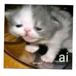 Video sticker 🐱 Сезаровский крик души