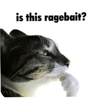 Video sticker 🐱 @furealae