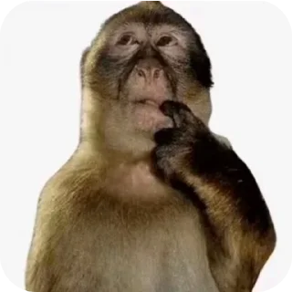 Video sticker 🤲 @furealae