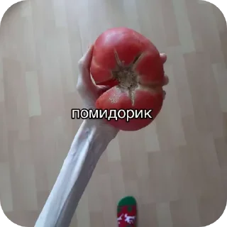 Sticker 🍅 тикток мемы