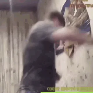 Video sticker 😈 balibalda anim :: @fStikBot