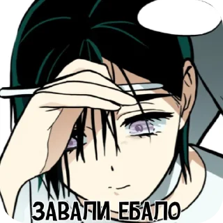 Video sticker 👄 Плгсекта
