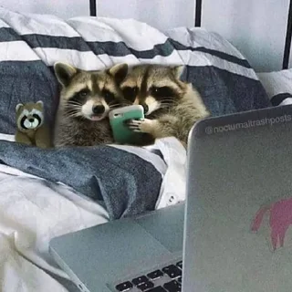 Telegram sticker 👨‍❤️‍👨 Mapaches