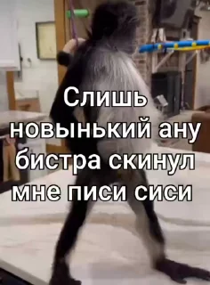 Video sticker 🙈 Стикеры Иван Чая пон 2 ➡️ @Ctikerubot