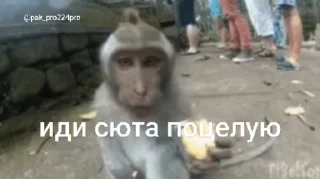 Video sticker 😱 Стикеры Иван Чая пон 2 ➡️ @Ctikerubot