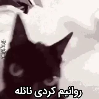 Video sticker 😂 @id_kapitan روانیم کردی (ver7)🦑