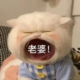 Telegram sticker 🌟 123总工会3.0 @prostituteeva