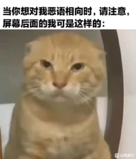 Телеграм стикер 🌟 耄耋还魂三周目 @Man5say :: @fStikBot