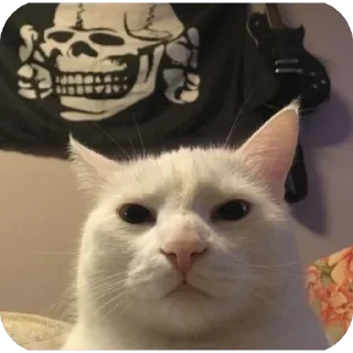 Telegram sticker 💀 Packzinho do Sr.Virtual :: @fStikBot