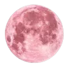 Video sticker 🌎 subhee :: @fStikBot