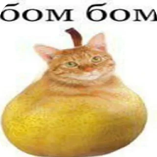 Telegram sticker 🐱 Бом Бом @Netwis тгк: @NNETQQ