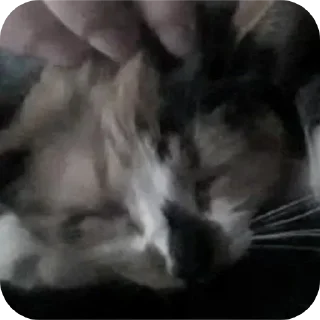 Telegram sticker 👍 Больше стиков тут: @stikery4