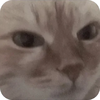 Telegram sticker 😡 Больше стиков тут: @stikery4