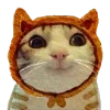 Sticker 🐱 тëплое осеннее @pintura_pinn @stikershrimp