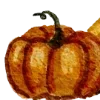 Sticker 🎃 тëплое осеннее @pintura_pinn @stikershrimp