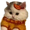 Video sticker 🐱 тëплое ос�...