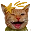 Sticker 🐱 тëплое осеннее @pintura_pinn @stikershrimp