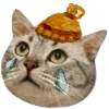 Sticker 🥲 тëплое осеннее @pintura_pinn @stikershrimp