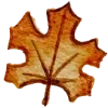 Video sticker 🍂 тëплое ос�...