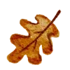 Sticker 🍂 тëплое осеннее @pintura_pinn @stikershrimp