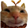 Sticker 🐱 тëплое осеннее @pintura_pinn @stikershrimp