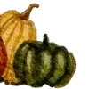 Sticker 🎃 тëплое осеннее @pintura_pinn @stikershrimp