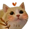 Video sticker 🐱 тëплое ос�...