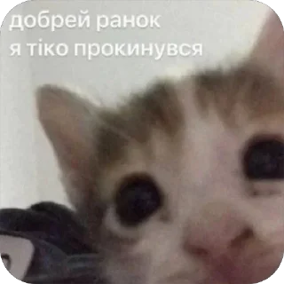 Video sticker 😊 IDK