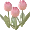Sticker 🌷 @vivironne @Sozdai...