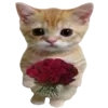 Sticker 🐈 @vivironne @SozdaiStickeriBot