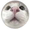 Sticker 🐱 @vivironne @SozdaiStickeriBot