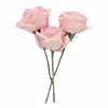Video sticker 💐 @vivironne @Sozdai...