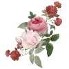 Video sticker 🌷 @vivironne @Sozdai...