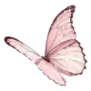 Video sticker 🦋 @vivironne @Sozdai...