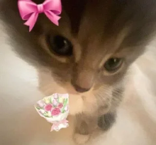 Sticker 🎀 لها
