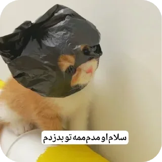 Video sticker 🎀 لها