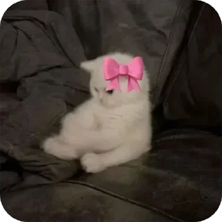 Telegram sticker 🎀 لها