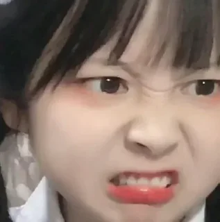 Video sticker ❤️ 桉陈小窝的牛马 @anchen01001