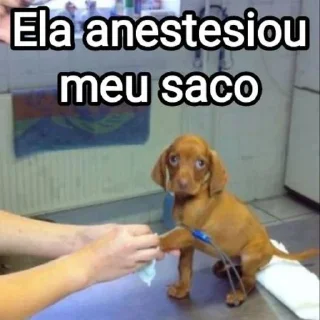 Sticker 💉 Mensagens Fofas 13 - FAZ O L!