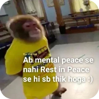 Video sticker 🐶 Vaibhav's stickerpack