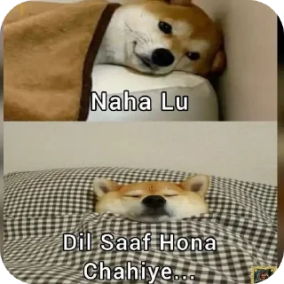 Sticker 🐶 Vaibhav's stickerpack