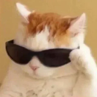 Telegram sticker 🕶 KING's Favorites (@CalsiBot)