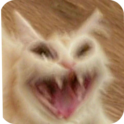 Telegram sticker 🐱 बागड़ बिल्ला ࿗