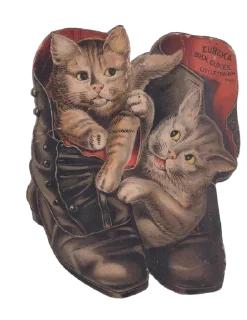 Video sticker 👞 vintage postcard