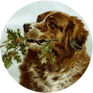 Telegram sticker 🦮 vintage postcard