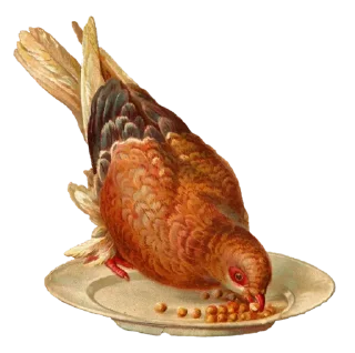 Telegram sticker 🕊 vintage postcard