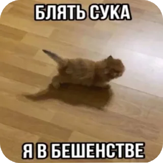 Telegram stiker 🤬 Pycukkst @Pycukie
